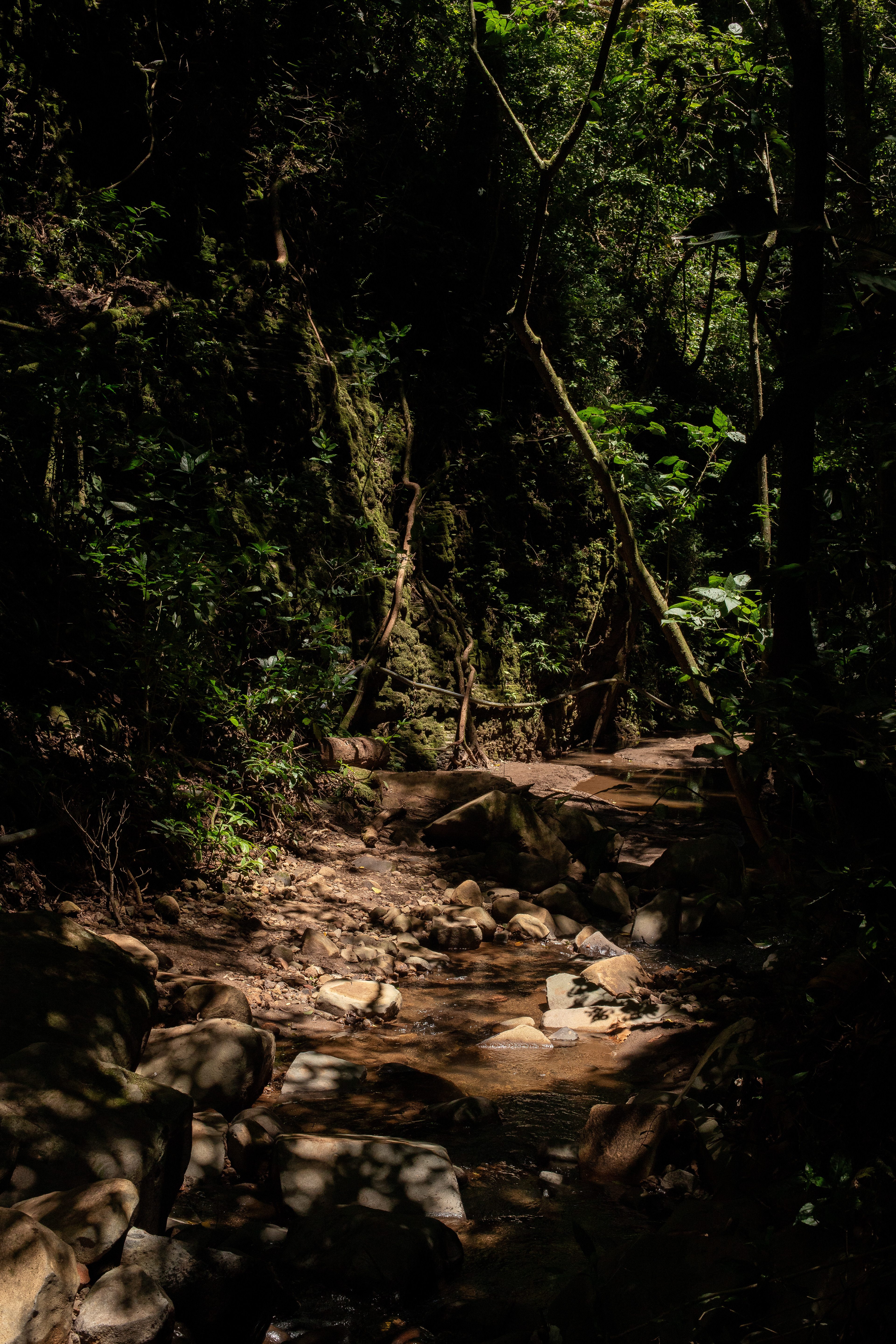 Monteverde