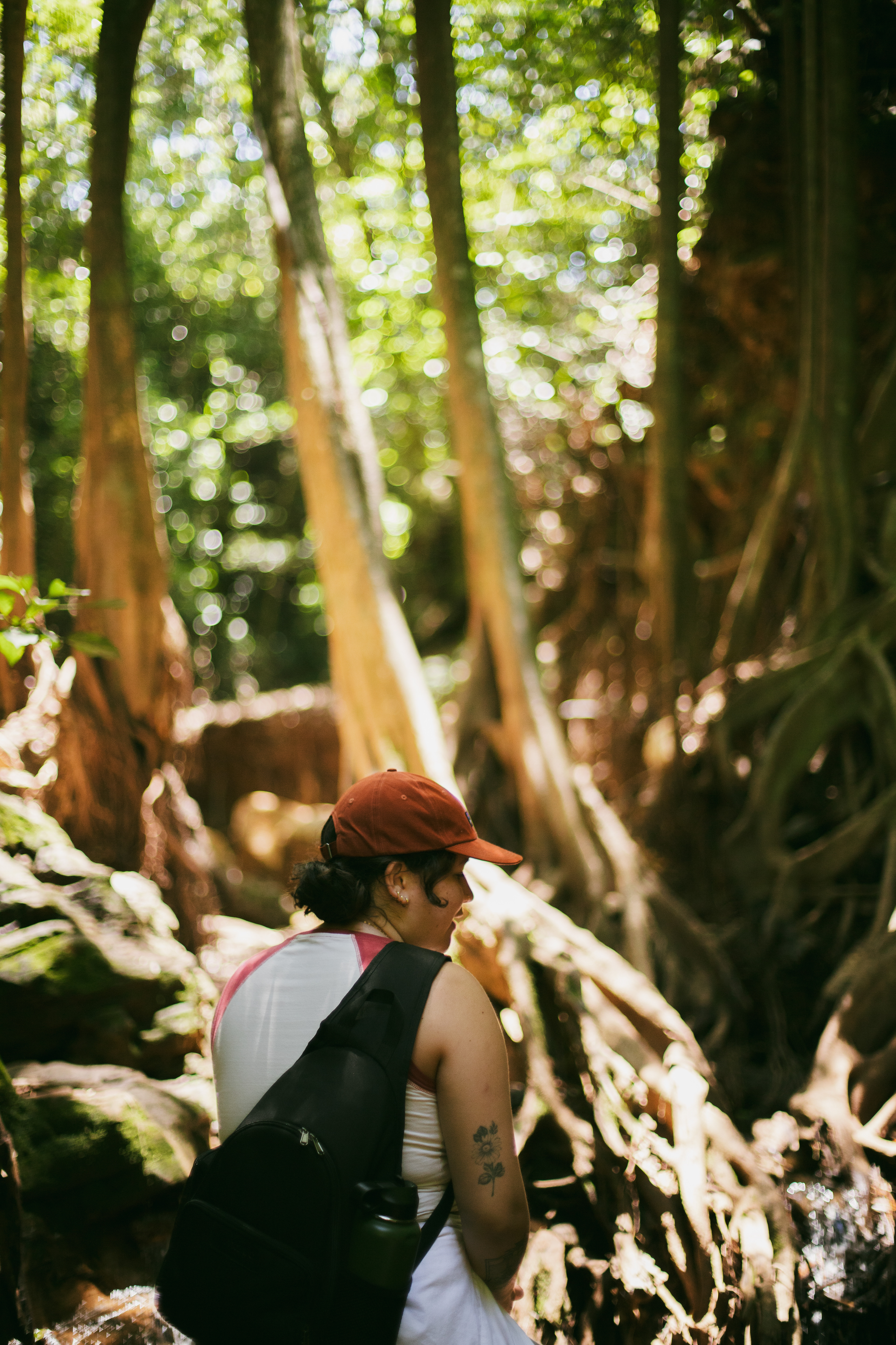 Me, Monteverde