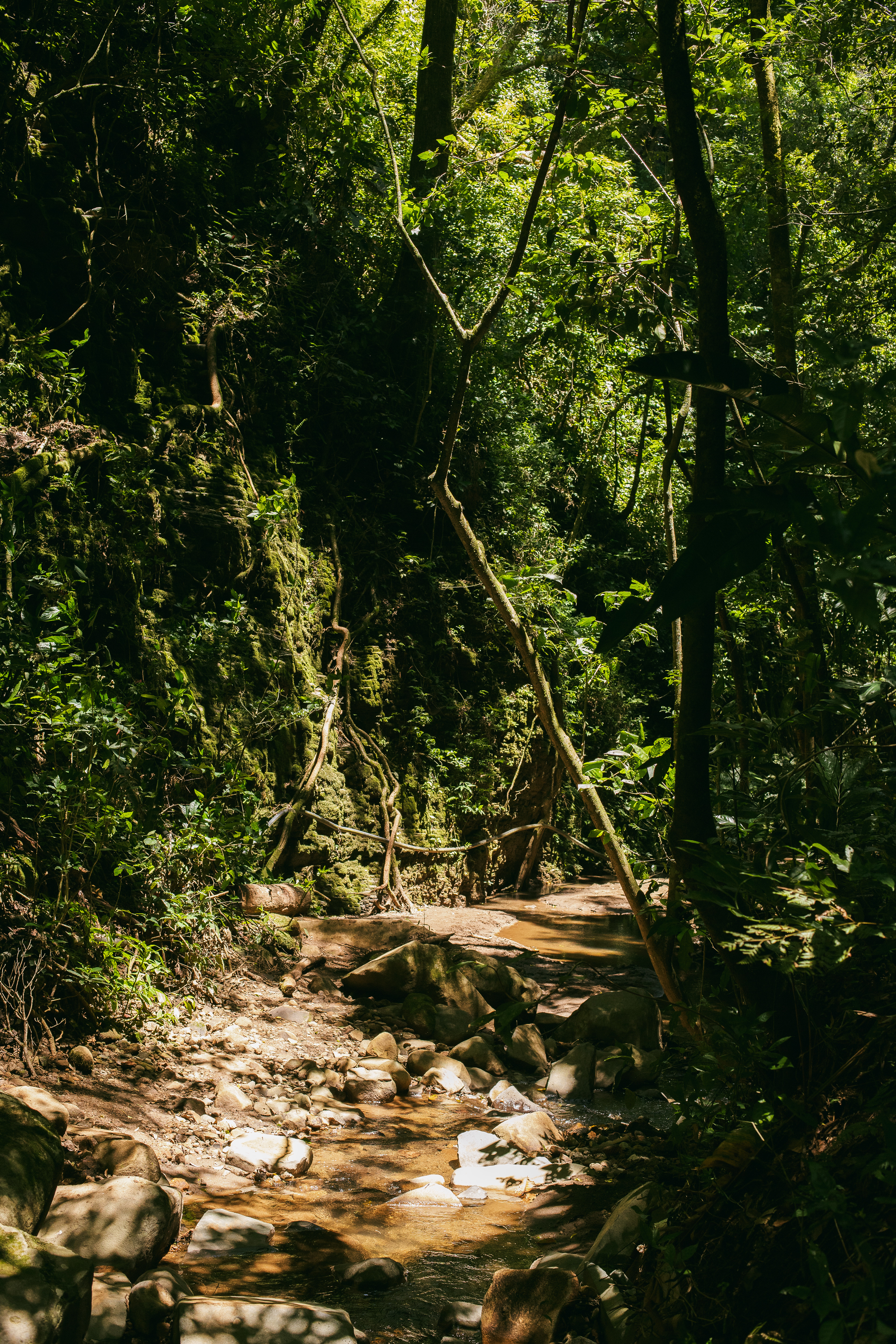 Monteverde