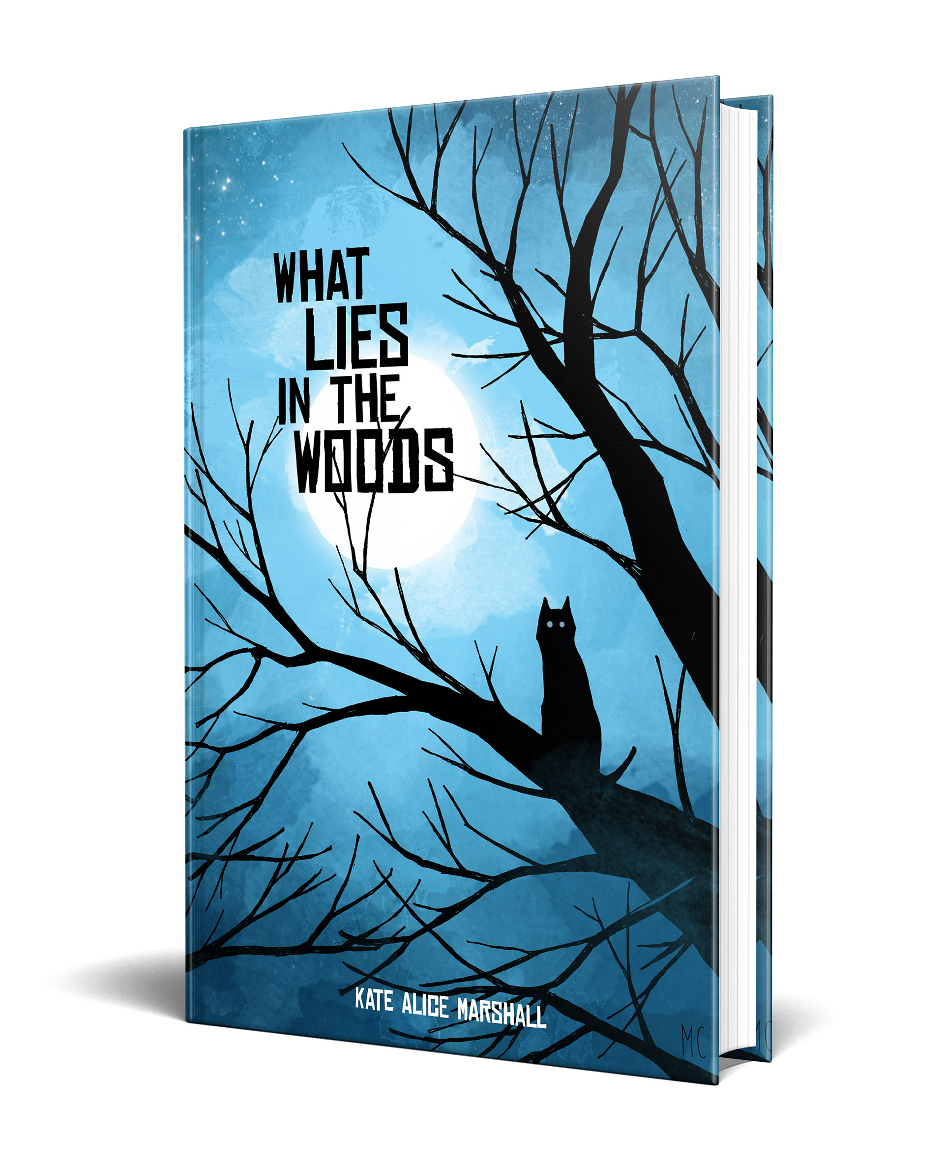 What Lies In the Woods Cover Illustration