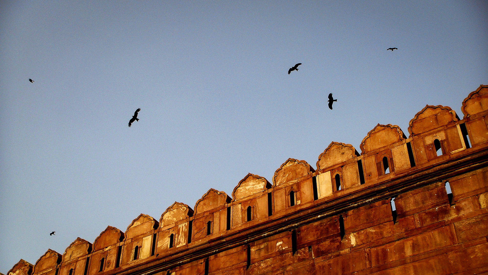 Birds circling over a orange stone wall at Agra Fort in India by Ryan Bucchianeri.