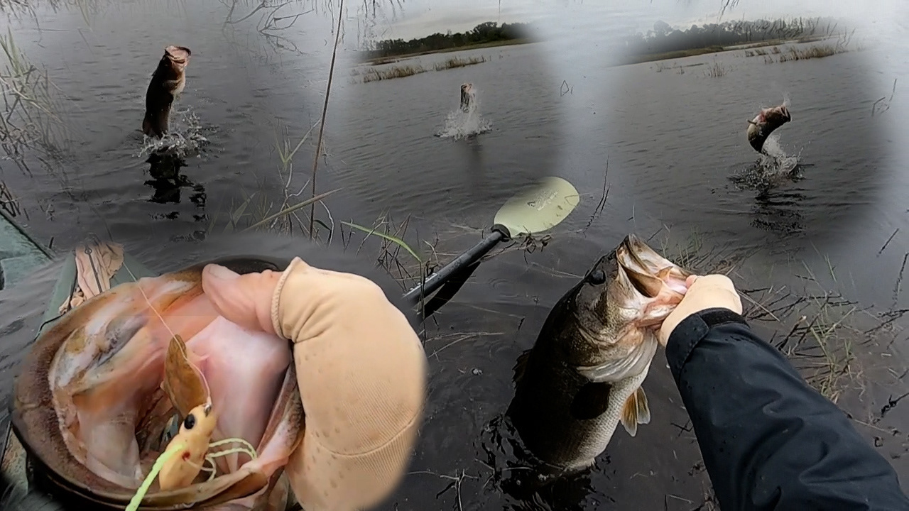 Photograph showing a person catching a fish in a body of water, with multiple action shots of the fish jumping out of water in the background. Foreground features close-up of gloved hand holding fish mouth and a fishing lure inside the fish's mouth, highlighting fishing activity and equipment.