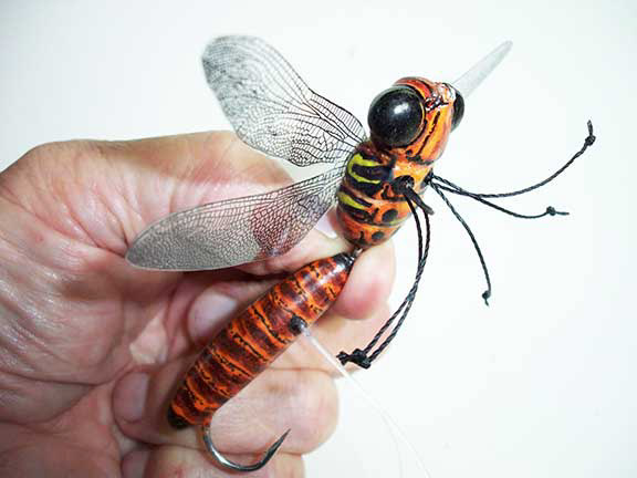 Dragonfly on lure, DragonflyTook these a few years ago on a…