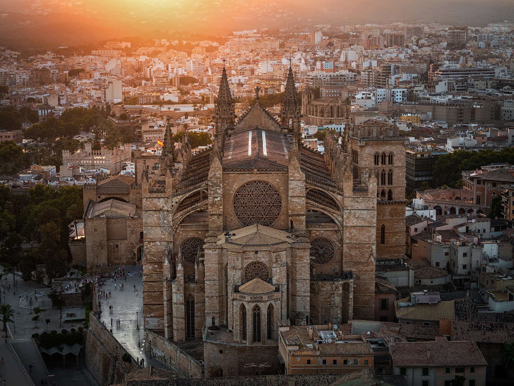 Aerial view of Catedral-Basílica de Santa María de Mallorca