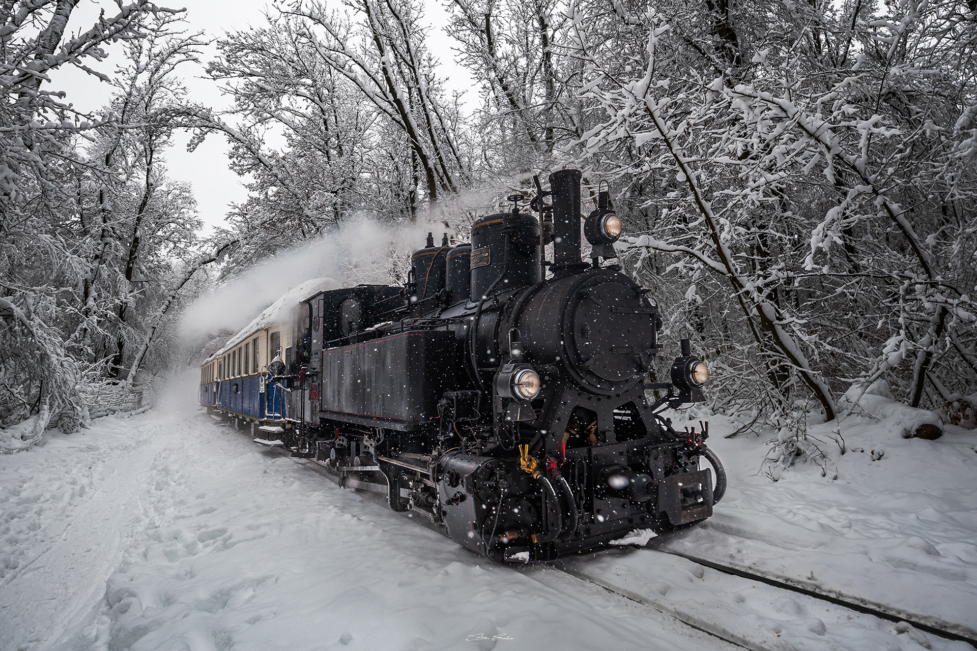 Nostalgic Locomotive in the Buda Hills of Budapest, Hungary