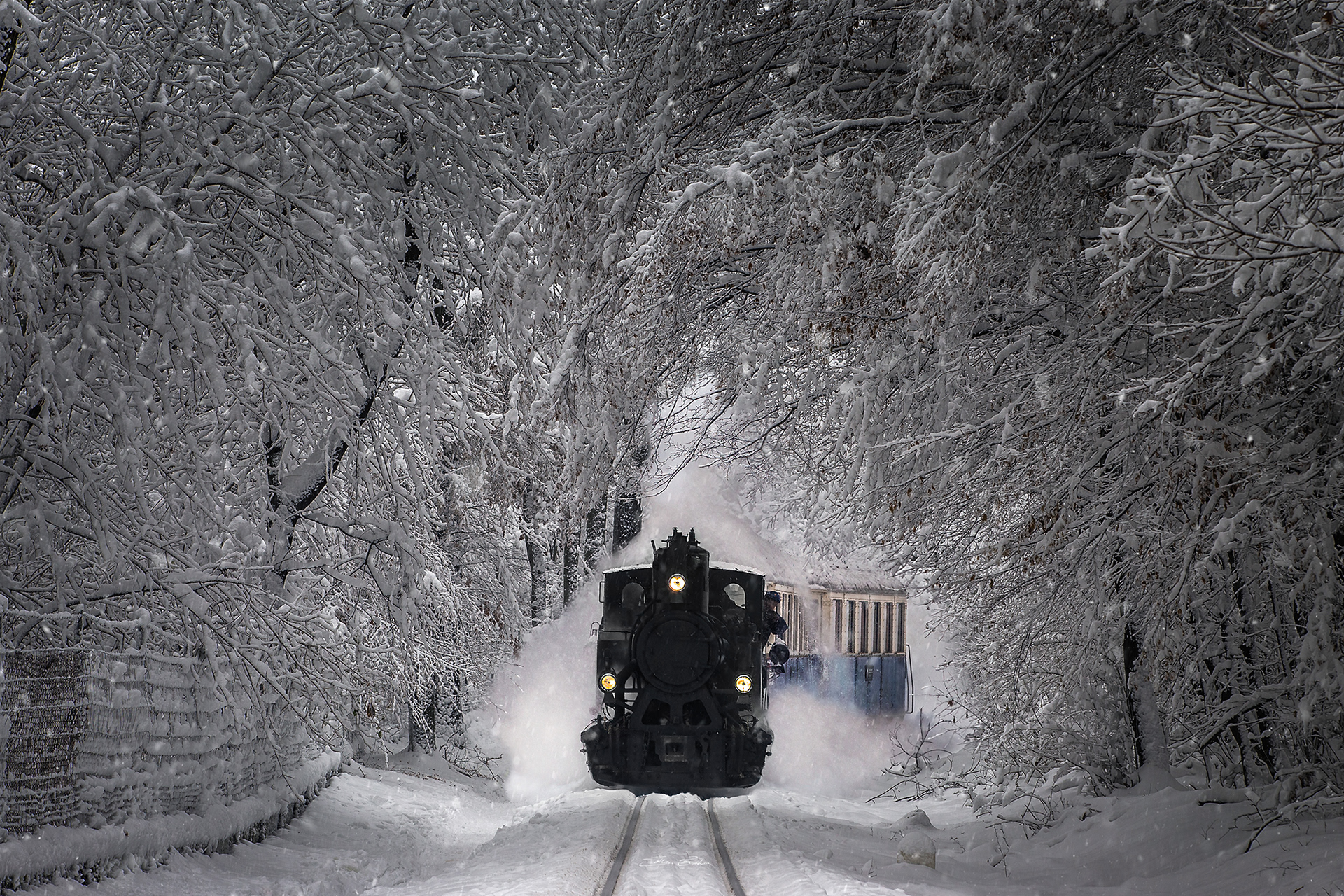 Nostalgic Locomotive in the Buda Hills of Budapest, Hungary