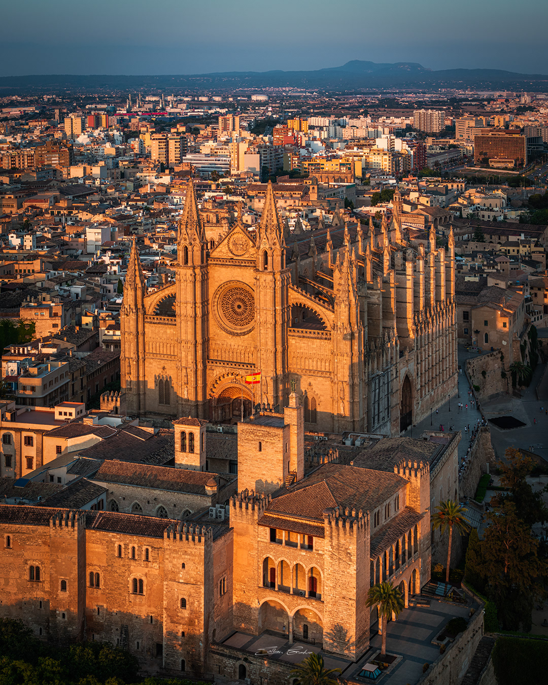 Aerial view of Catedral-Basílica de Santa María de Mallorca