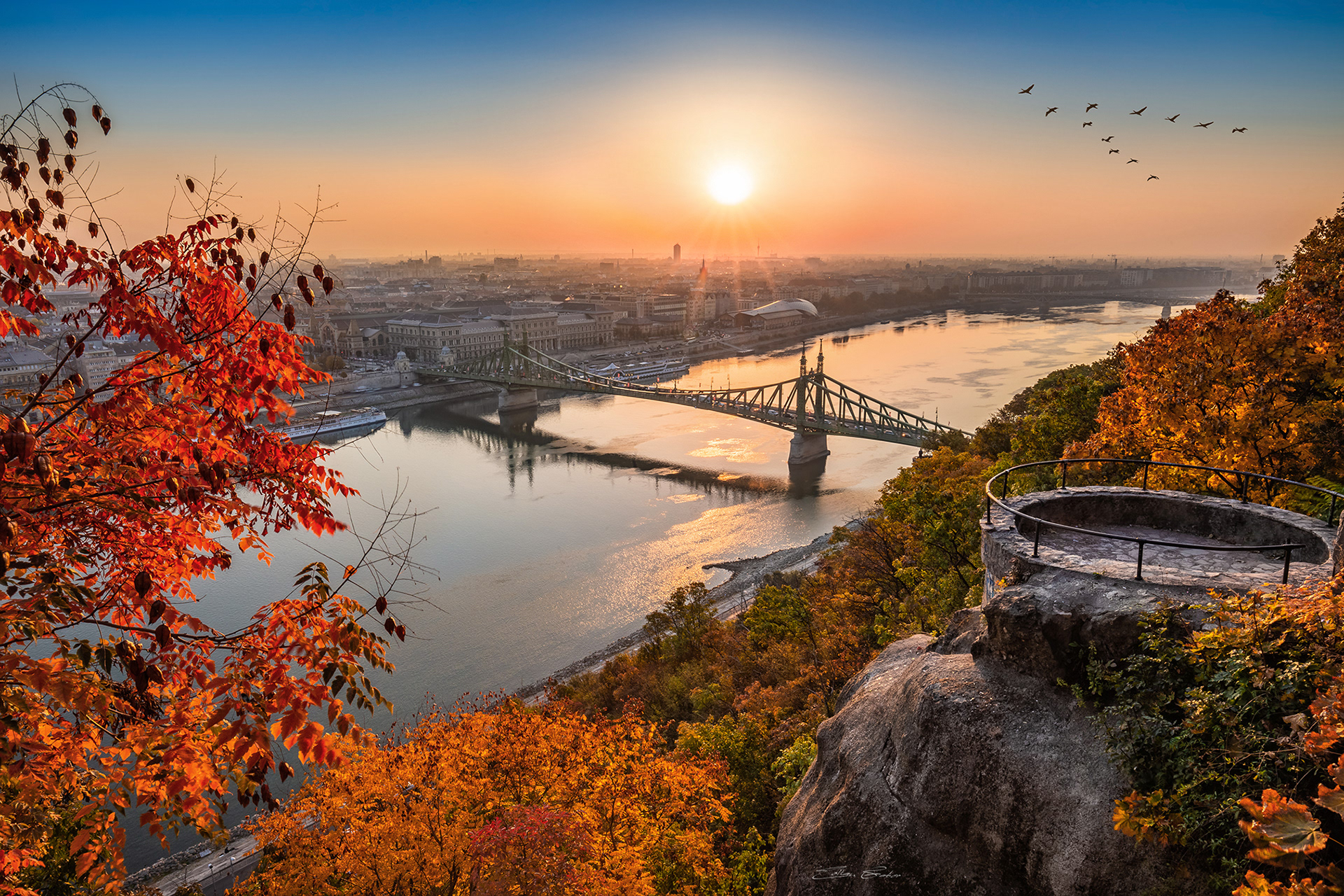 Autumn sunrise with Liberty Bridge