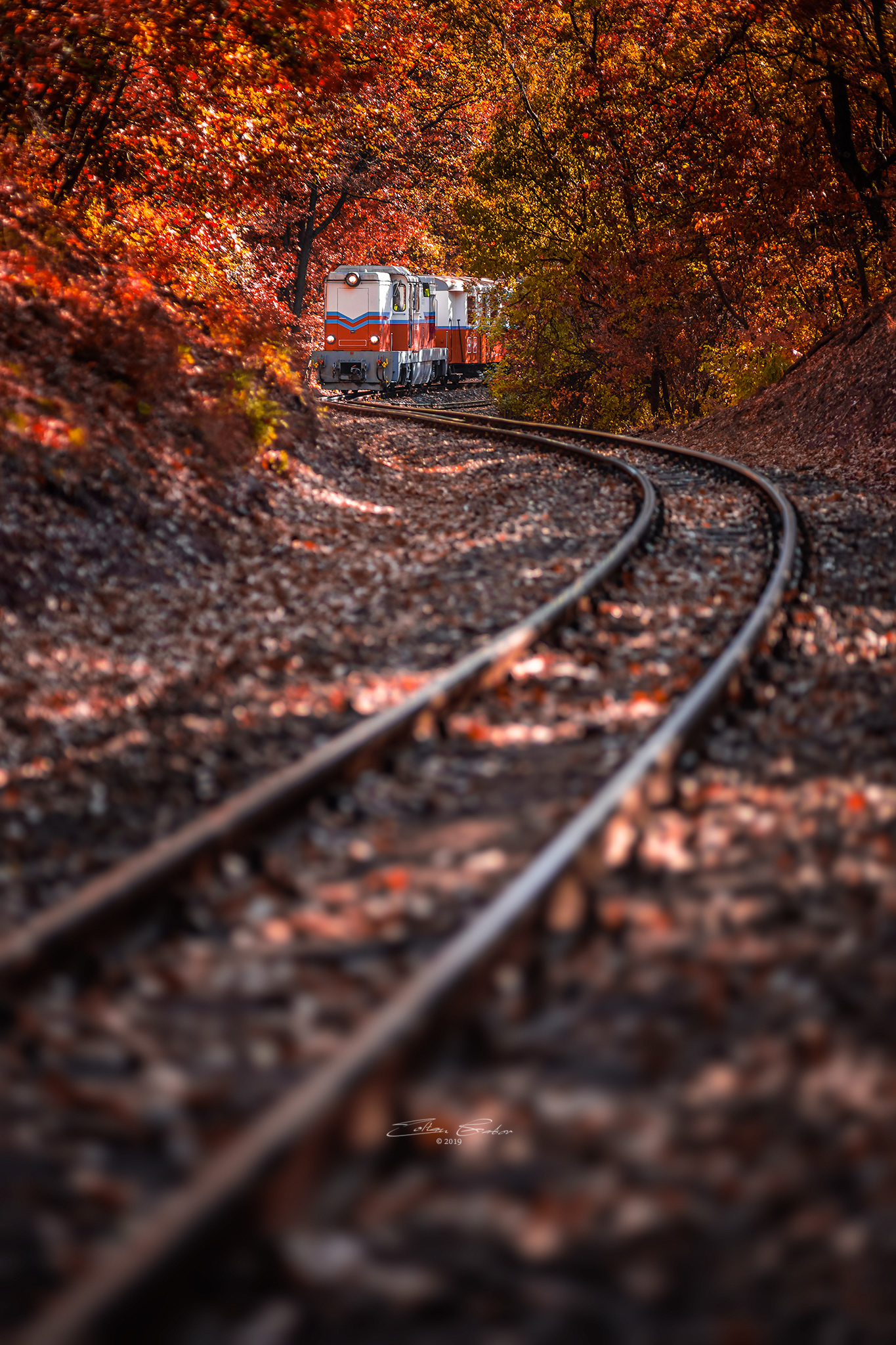 Children's Railroad in the Buda Hills of Budapest, Hungary