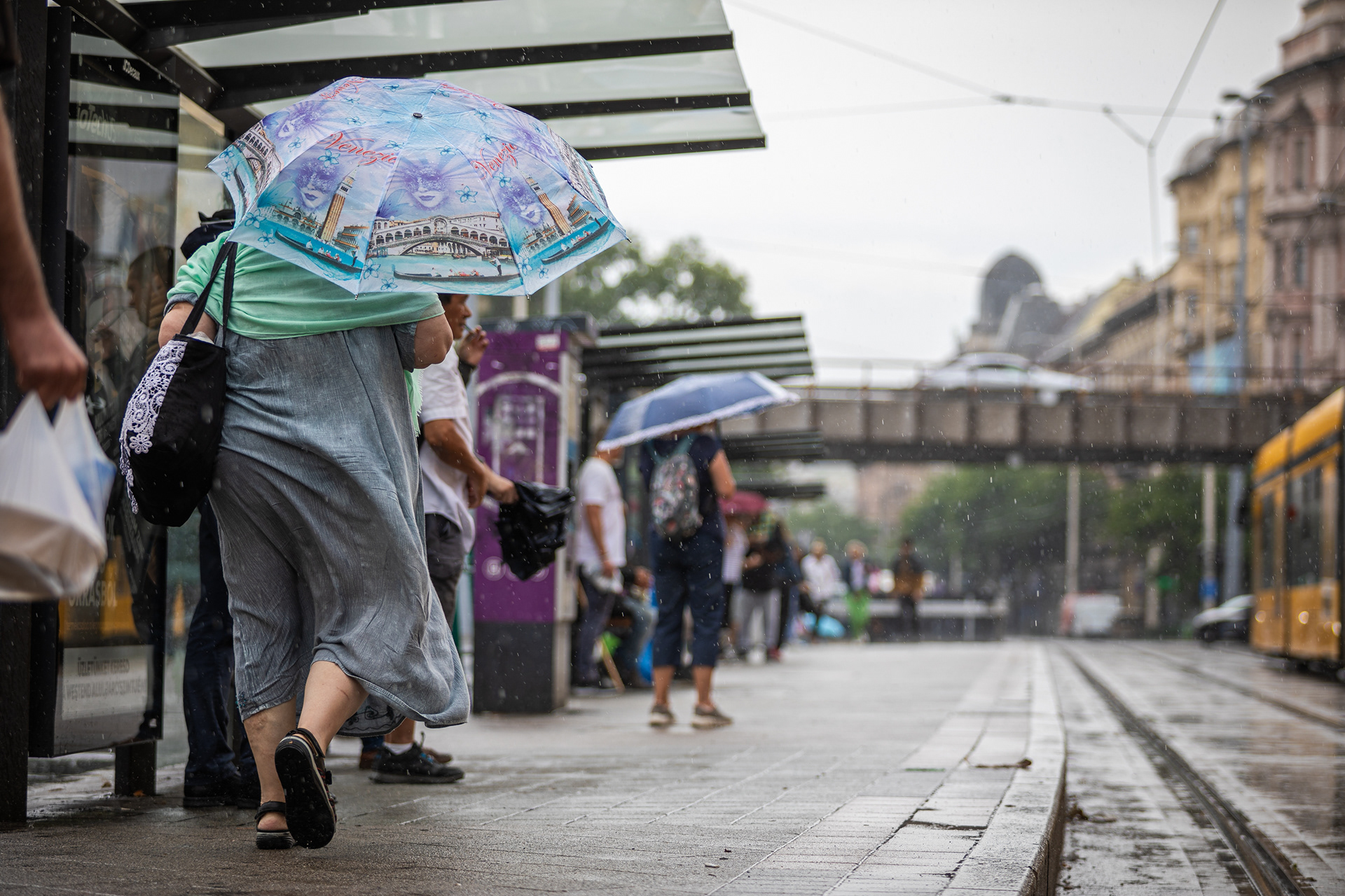 Rainy weather in Budapest - 2025
