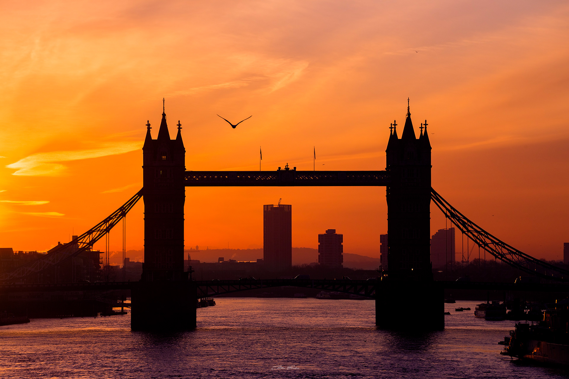Tower Bridge