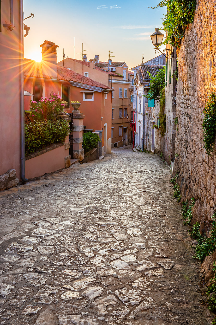 Cobblestone alley in Rovinj, Croatia at sunrise