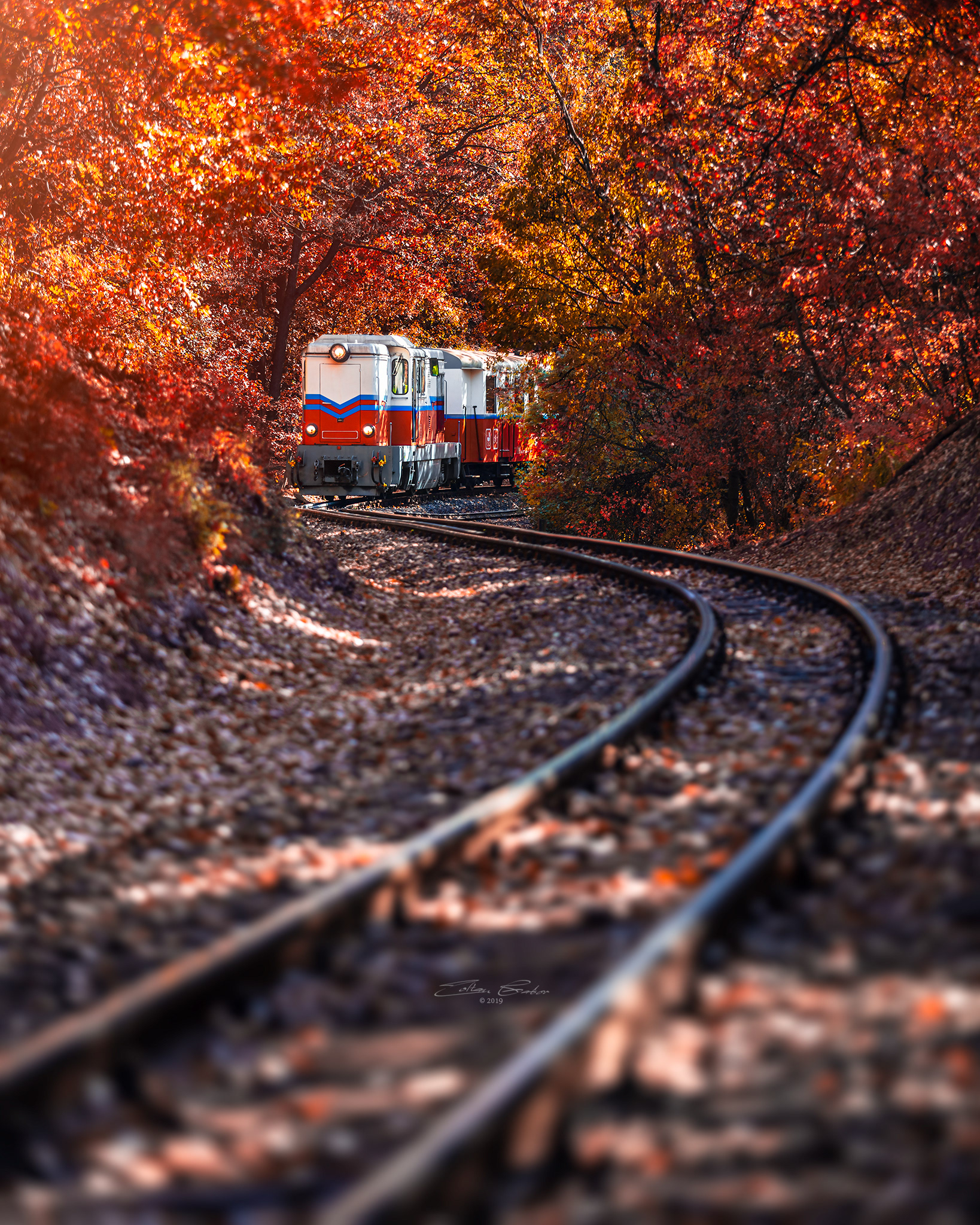 Children's Railroad in the Buda Hills of Budapest, Hungary