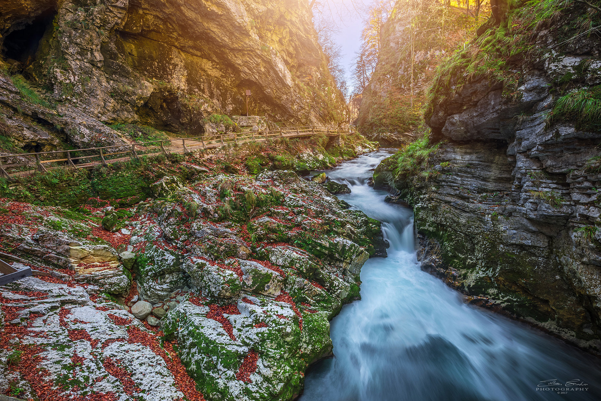 Vintgar Gorge