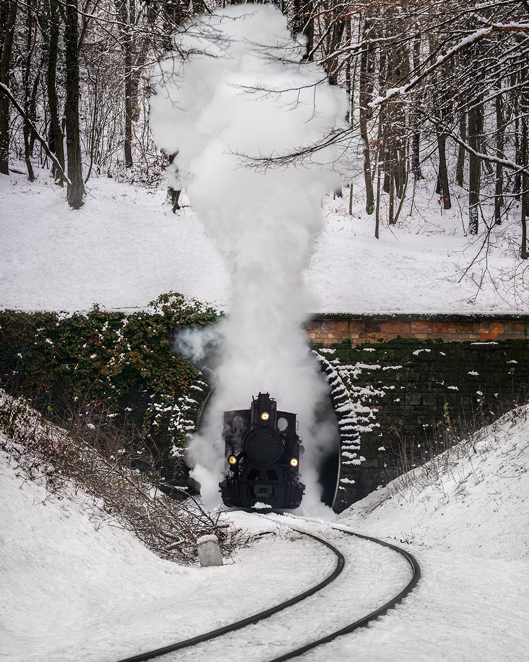Nostalgic Locomotive in the Buda Hills of Budapest, Hungary