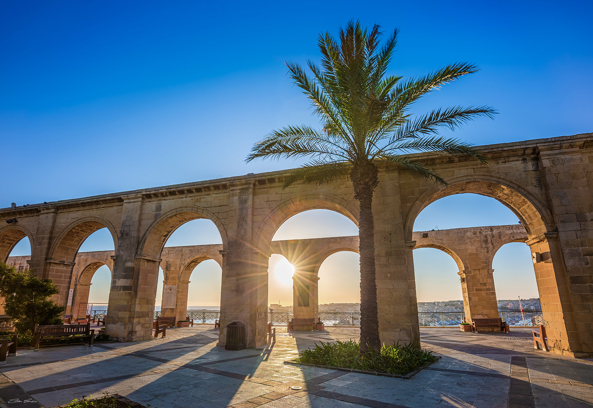 Sunrise with Palm Tree at Lower Barrakka Gardens