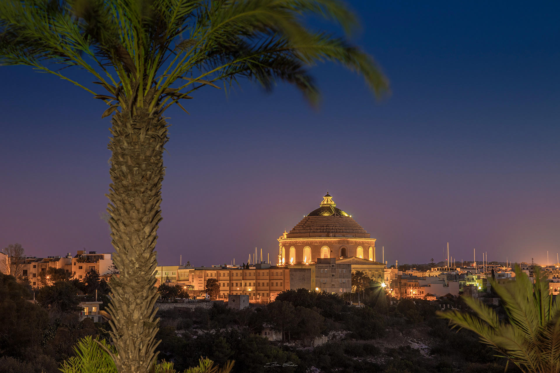 Palm tree and Mosta Dome by night