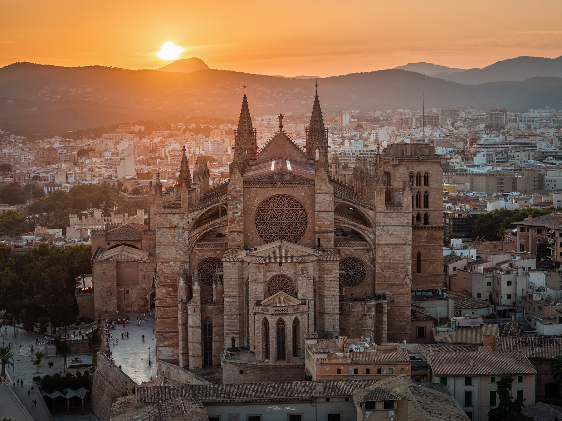 Aerial view of Catedral-Basílica de Santa María de Mallorca