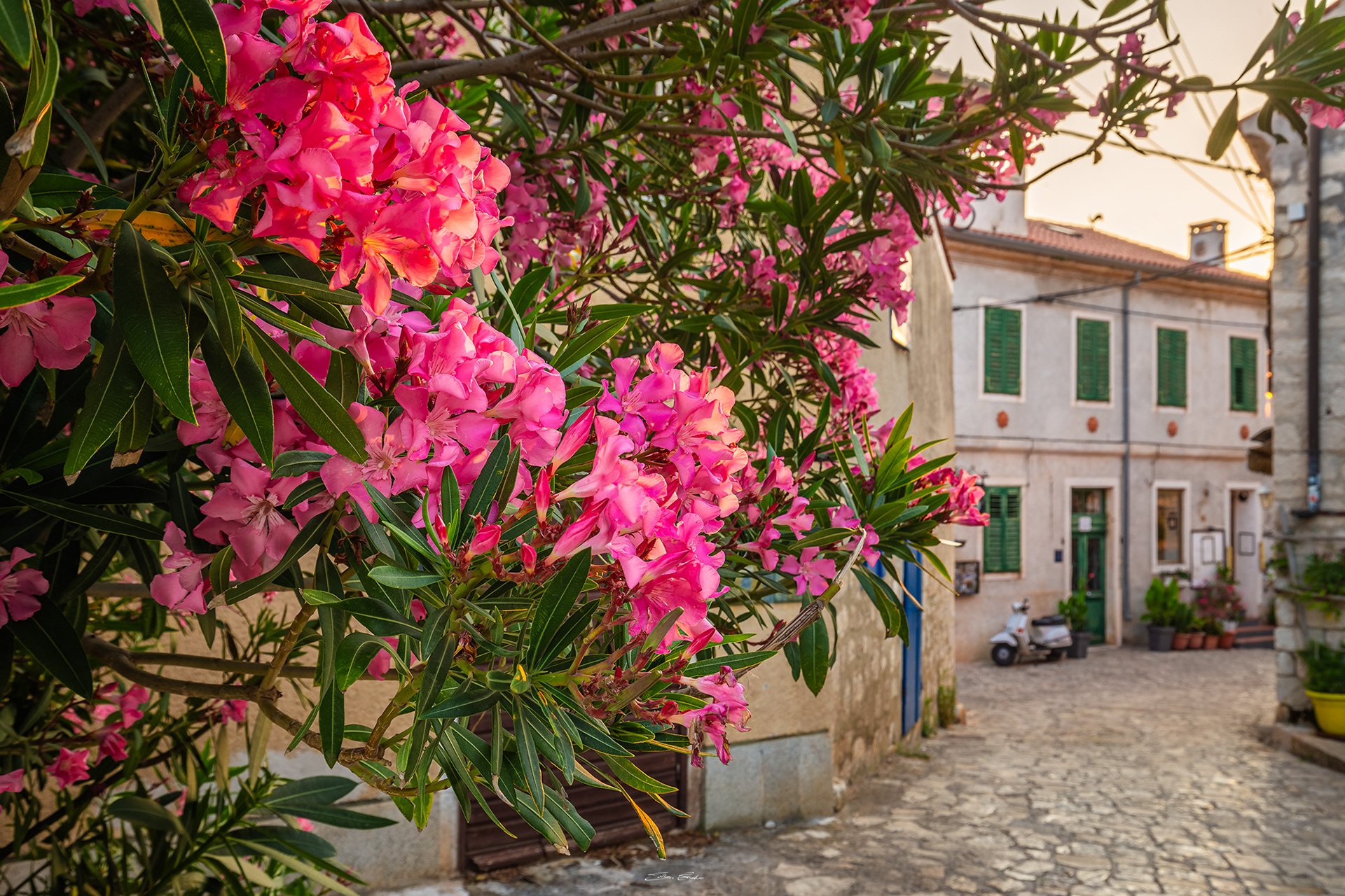 Rovinj, Croatia