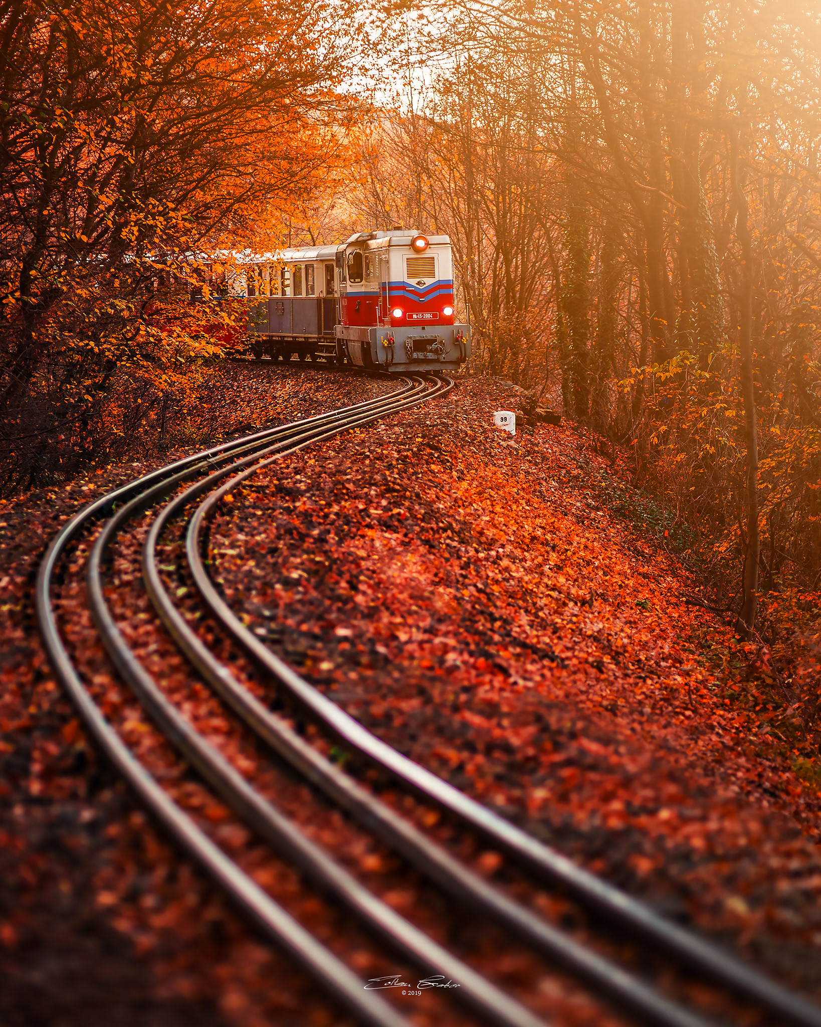 Children's Railroad in the Buda Hills of Budapest, Hungary