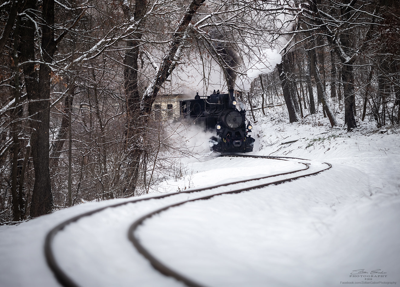 Nostalgic Locomotive in the Buda Hills of Budapest, Hungary