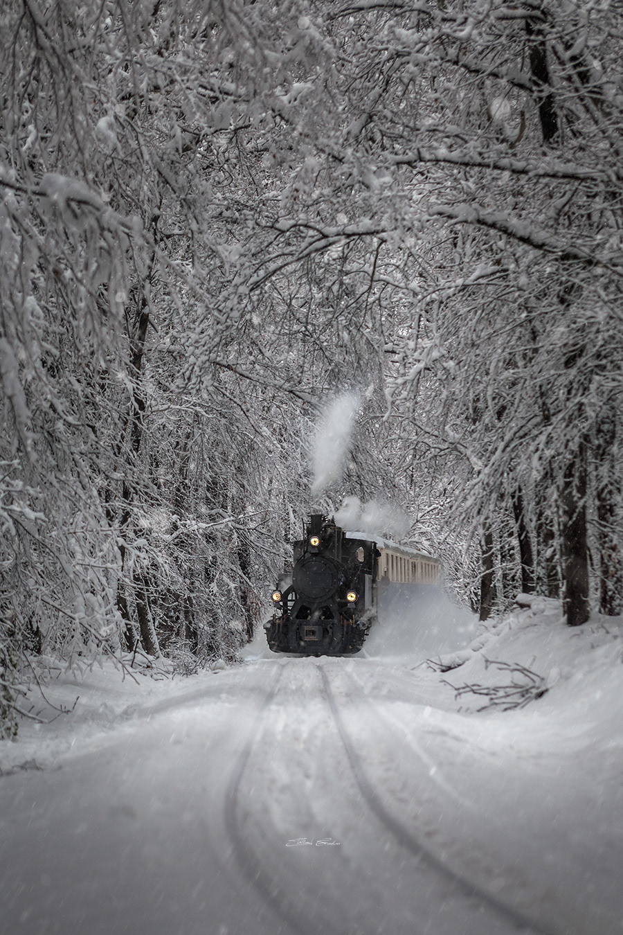 Nostalgic Locomotive in the Buda Hills of Budapest, Hungary