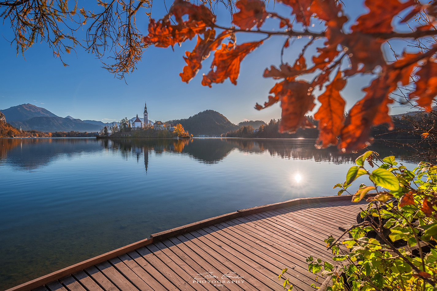 Church of the Assumption of Mary - Lake Bled