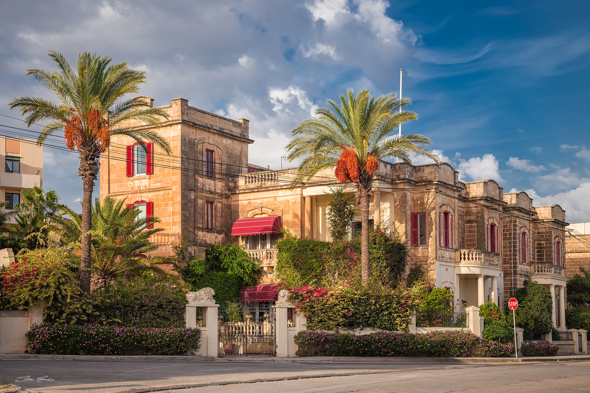 Traditional Maltese house with Palm trees