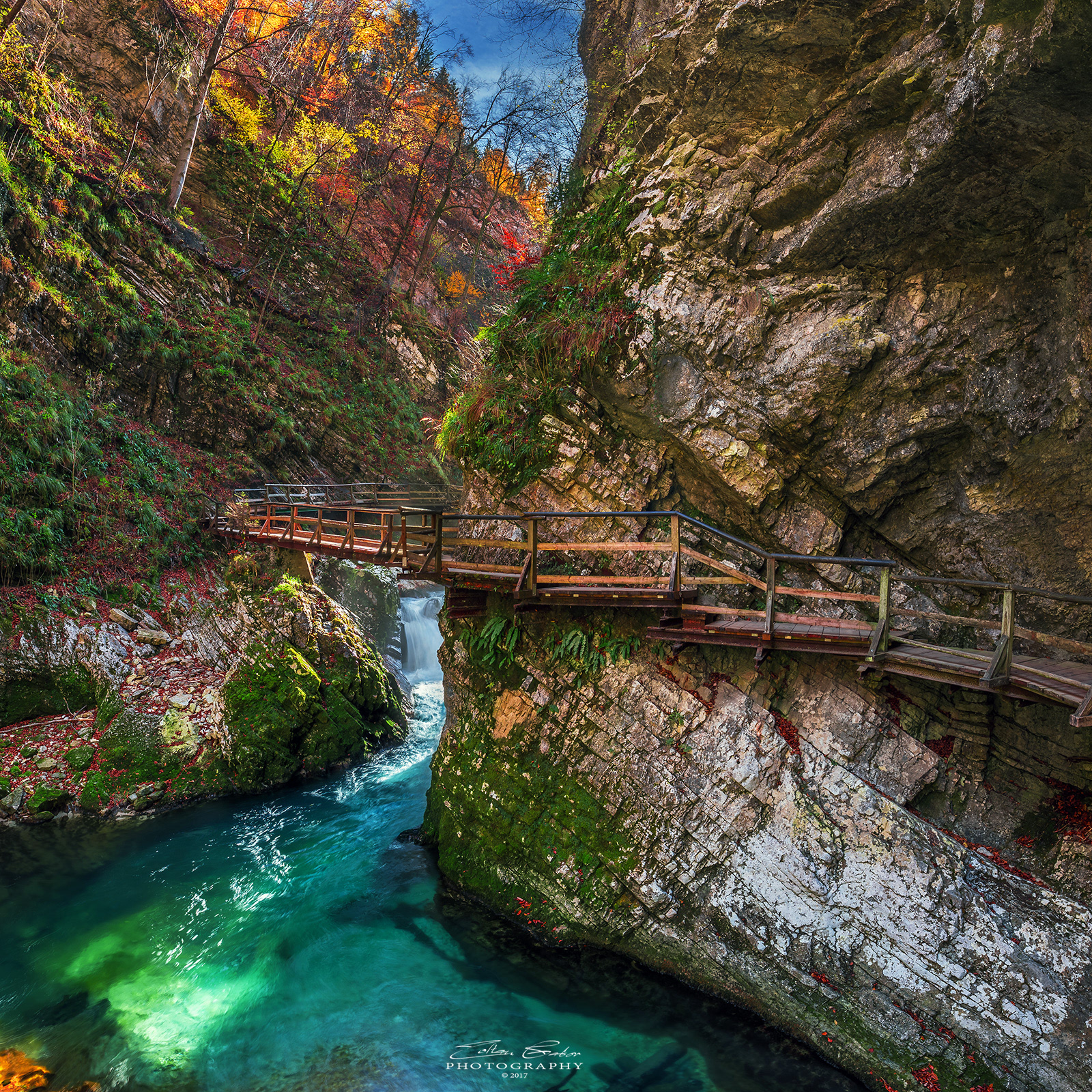 Vintgar Gorge