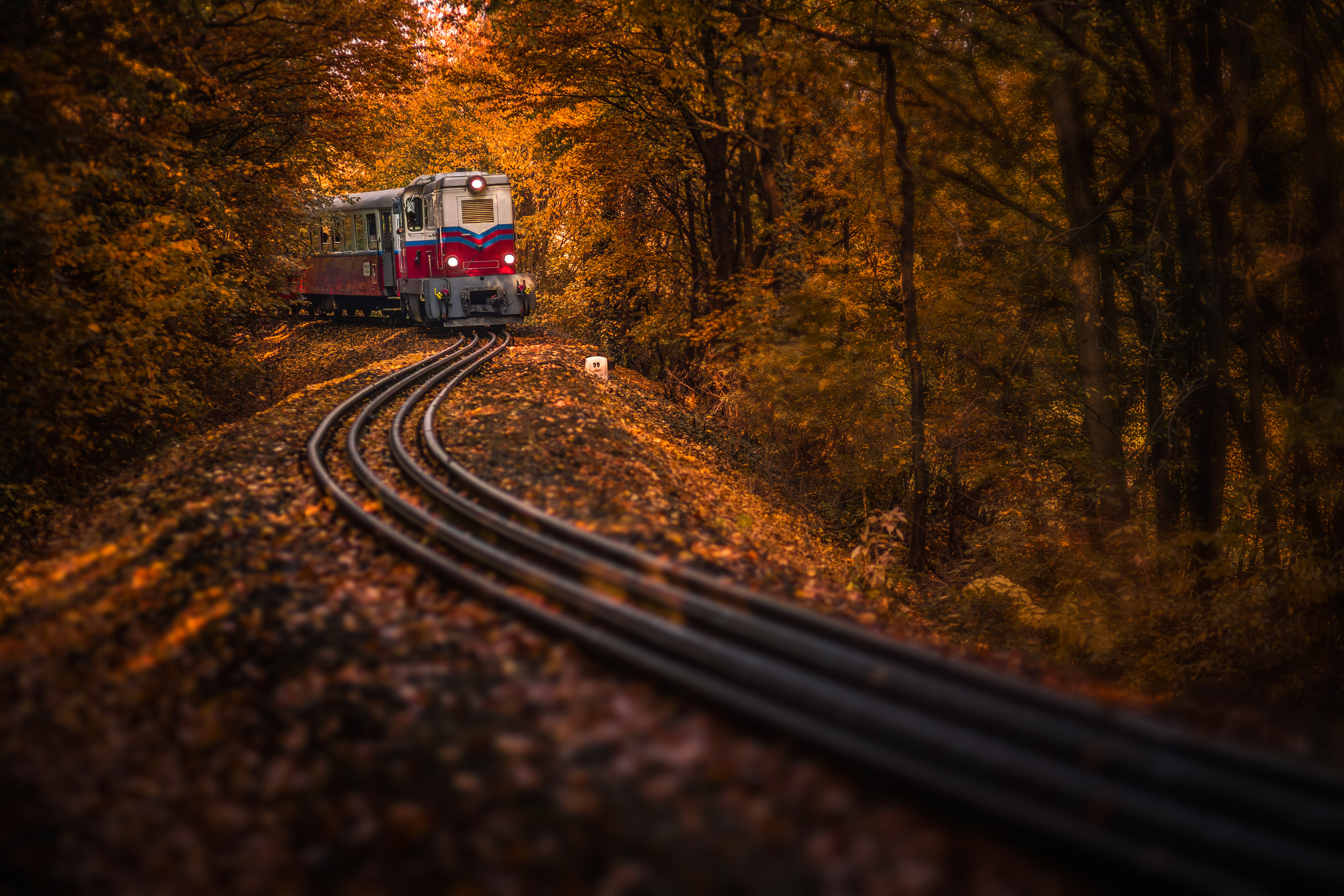Children's Railroad in the Buda Hills of Budapest, Hungary