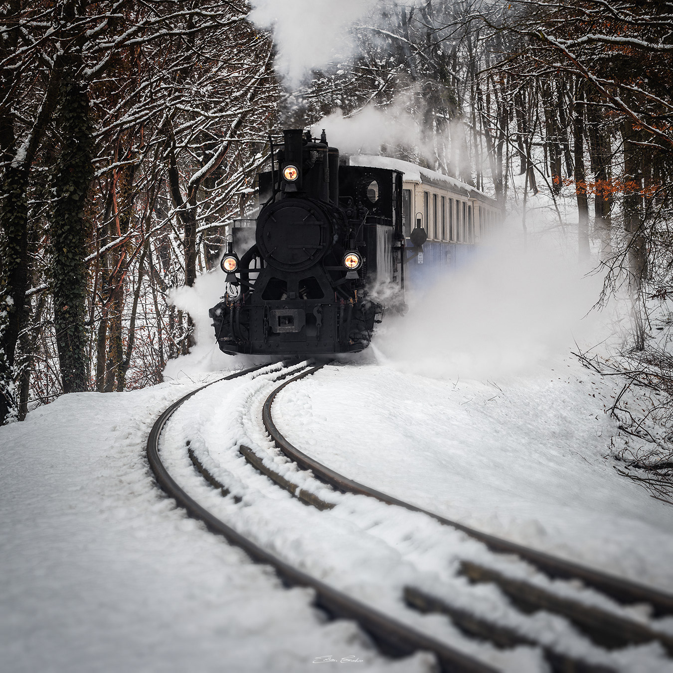 Nostalgic Locomotive in the Buda Hills of Budapest, Hungary
