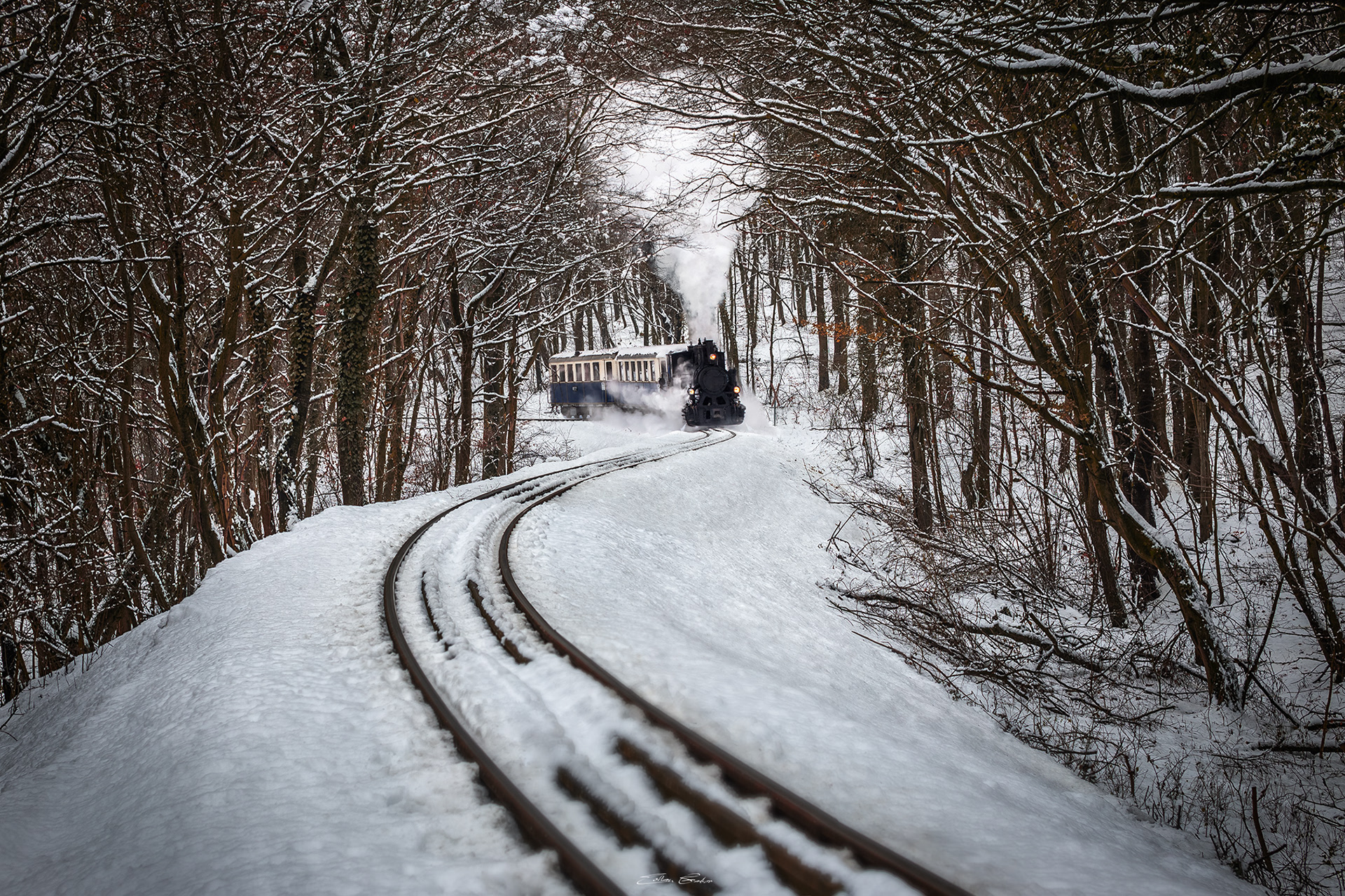 Nostalgic Locomotive in the Buda Hills of Budapest, Hungary