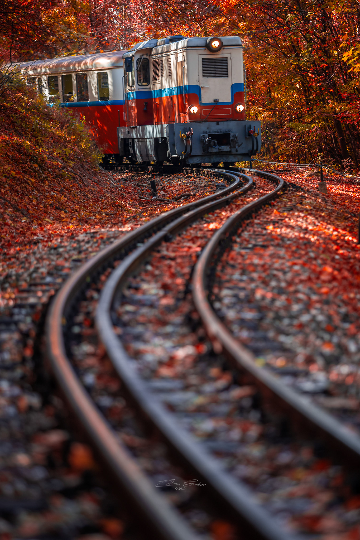 Children's Railroad in the Buda Hills of Budapest, Hungary