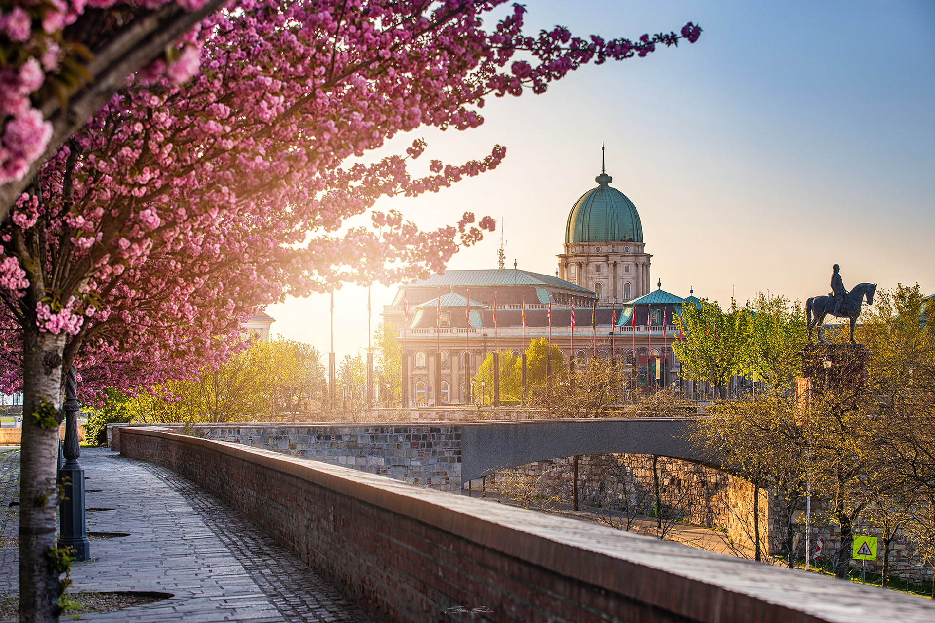 Buda Castle Royal Palace