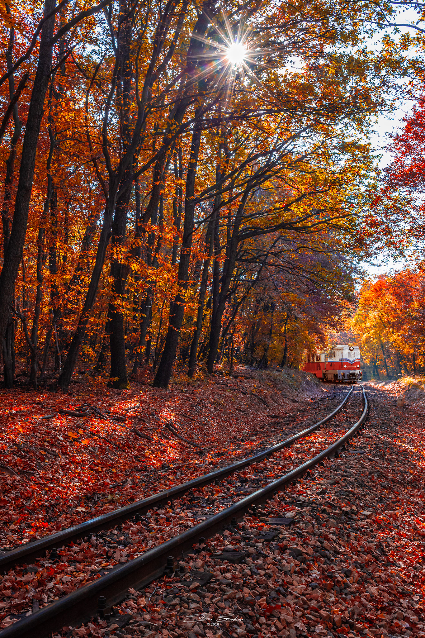 Children's Railroad in the Buda Hills of Budapest, Hungary