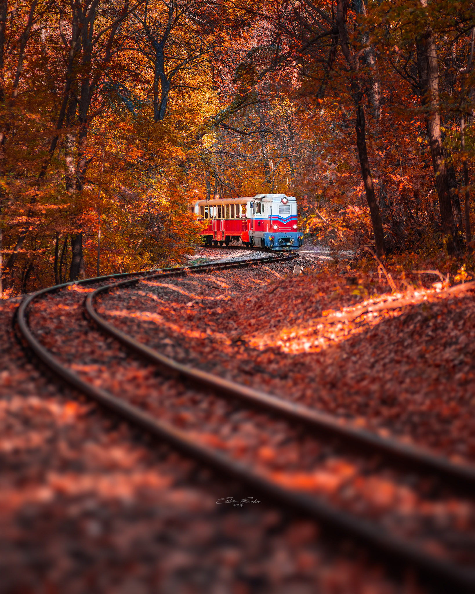 Children's Railroad in the Buda Hills of Budapest, Hungary