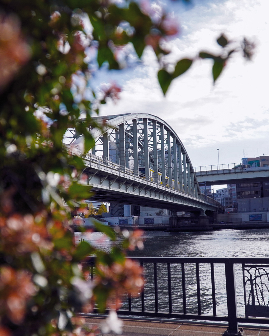 Bridge over Sumida