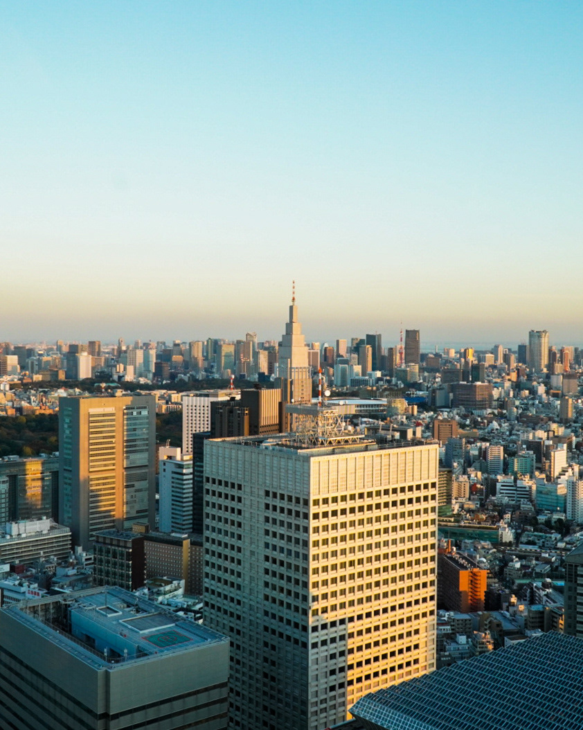 Government Building Observation Deck