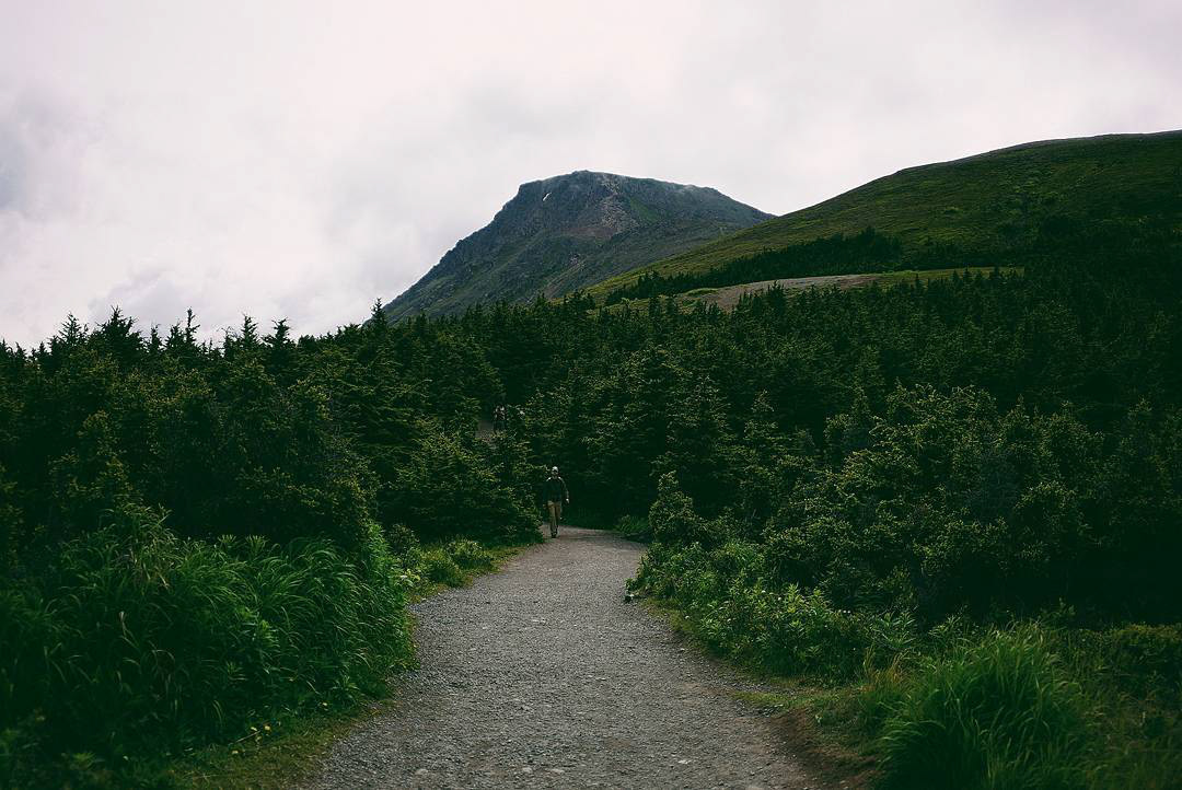 Flattop Mountain, AK