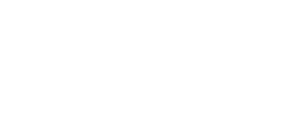 Studio Palaoa