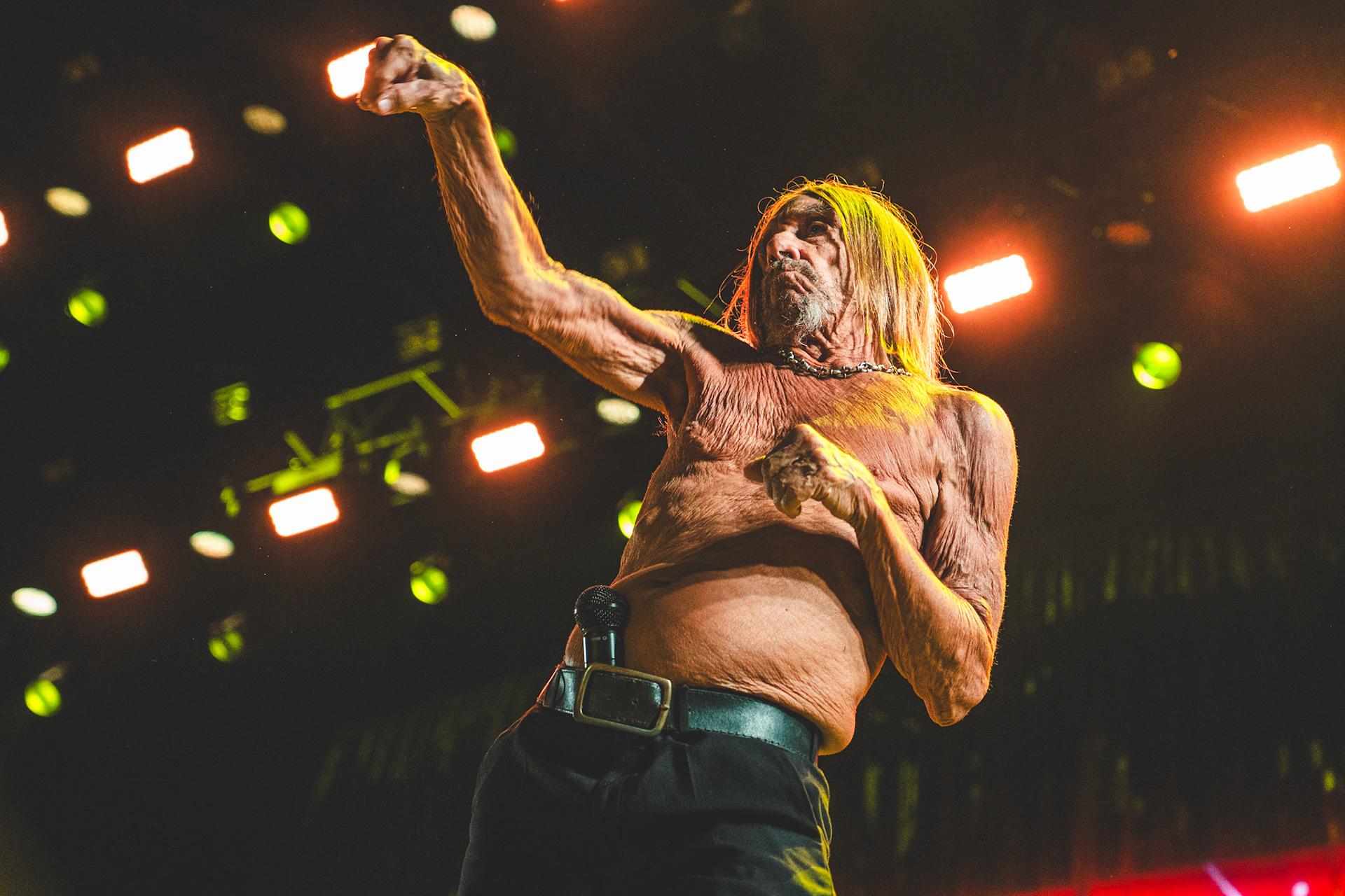 Iggy Pop @ Smukfest