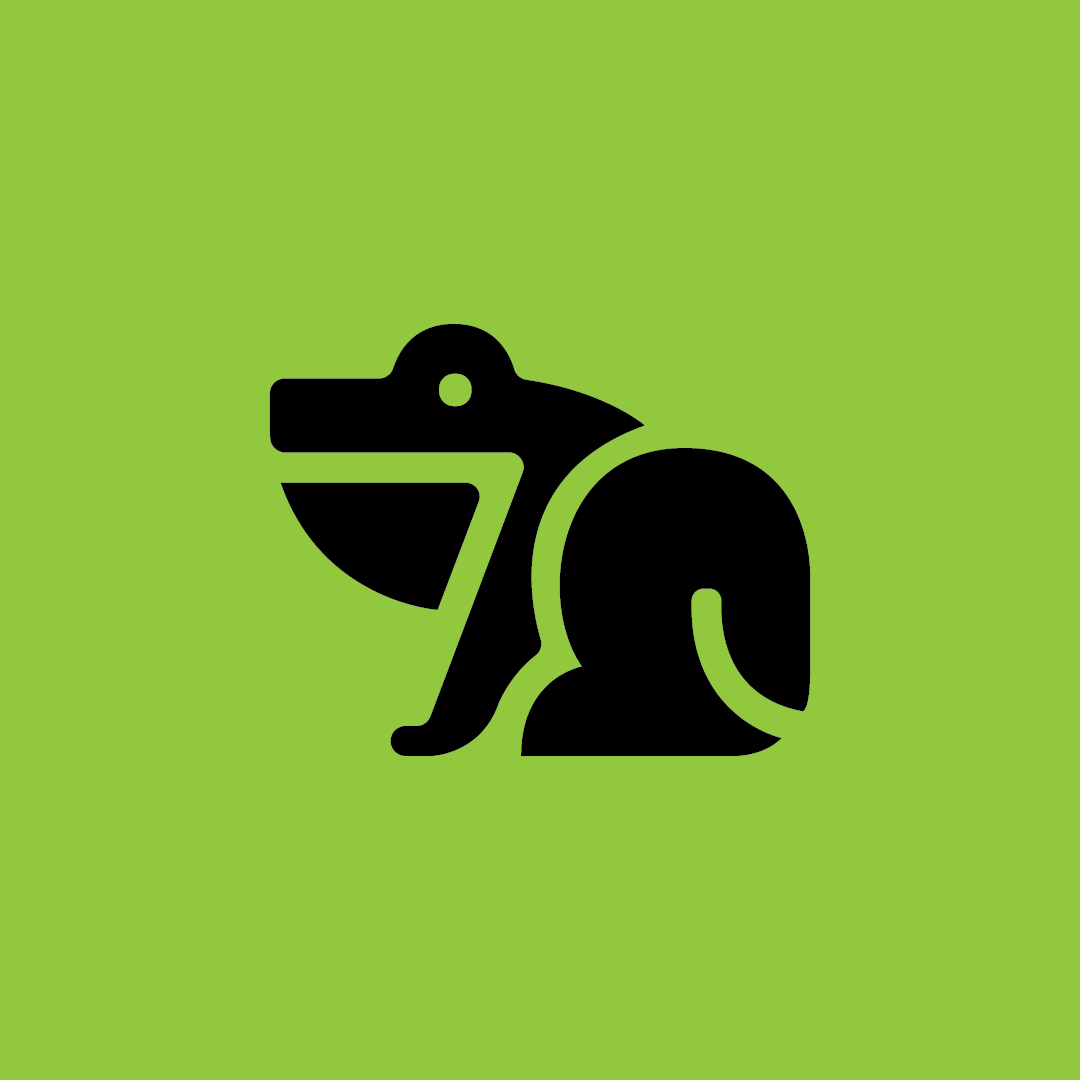 Frog animation