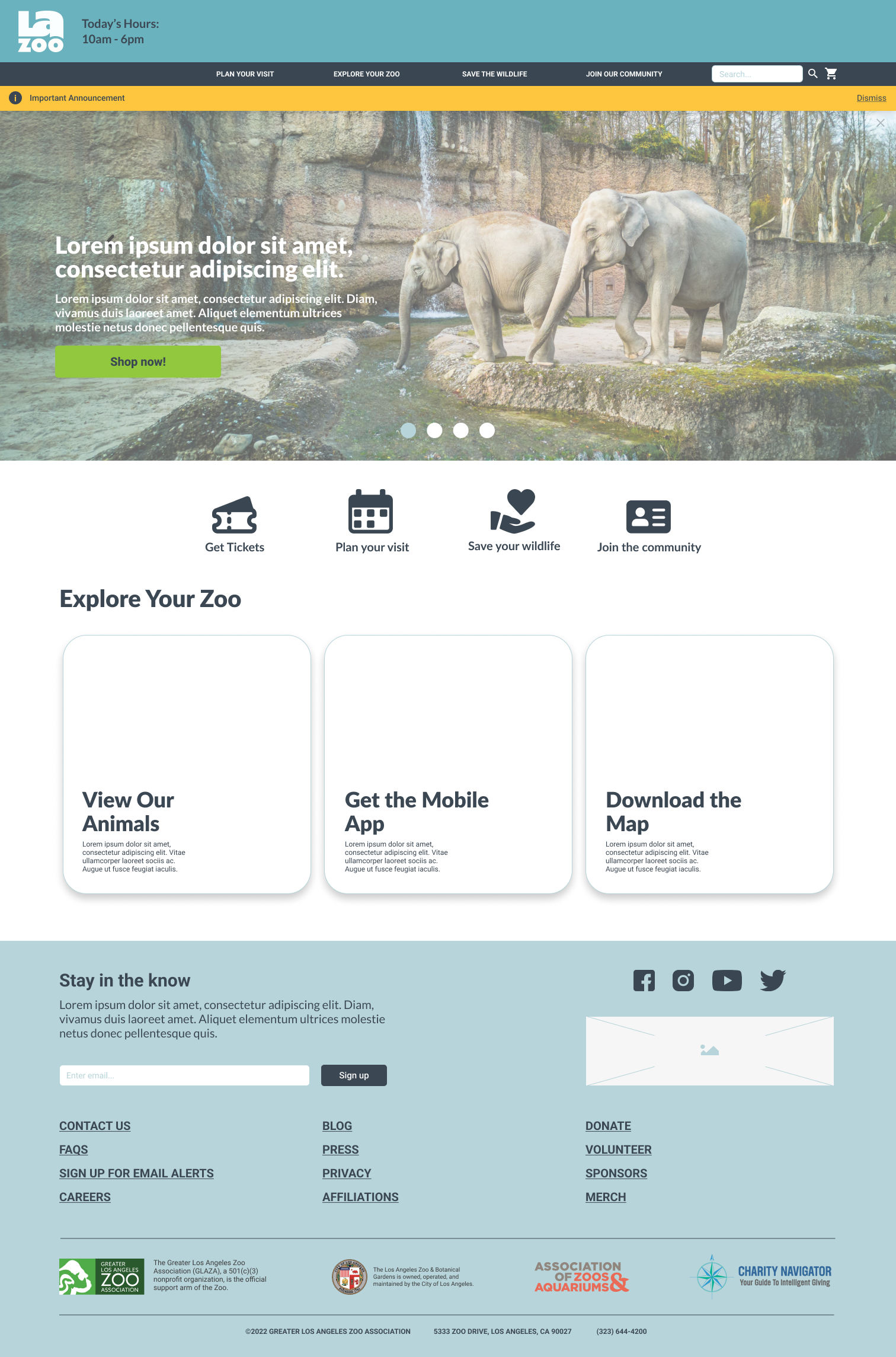 Website homepage