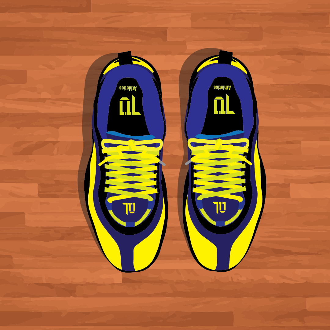 Shoe Vector Design