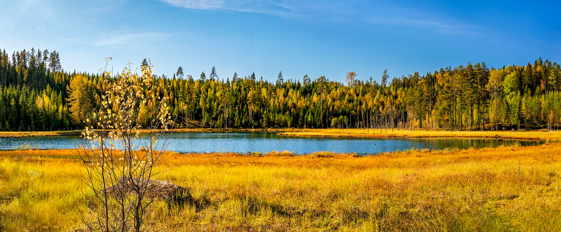 An der 26 vor Långban