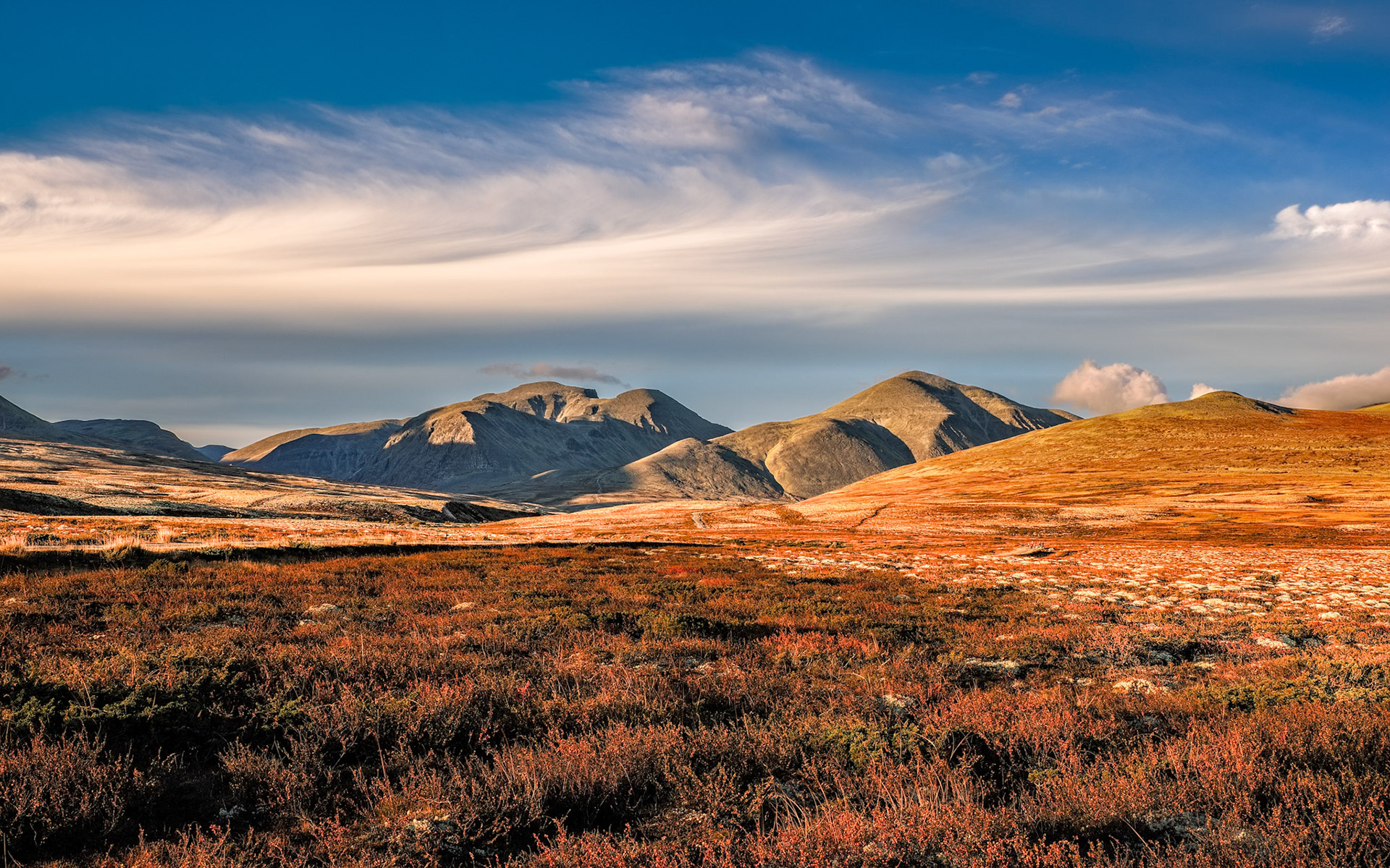Rondane NP