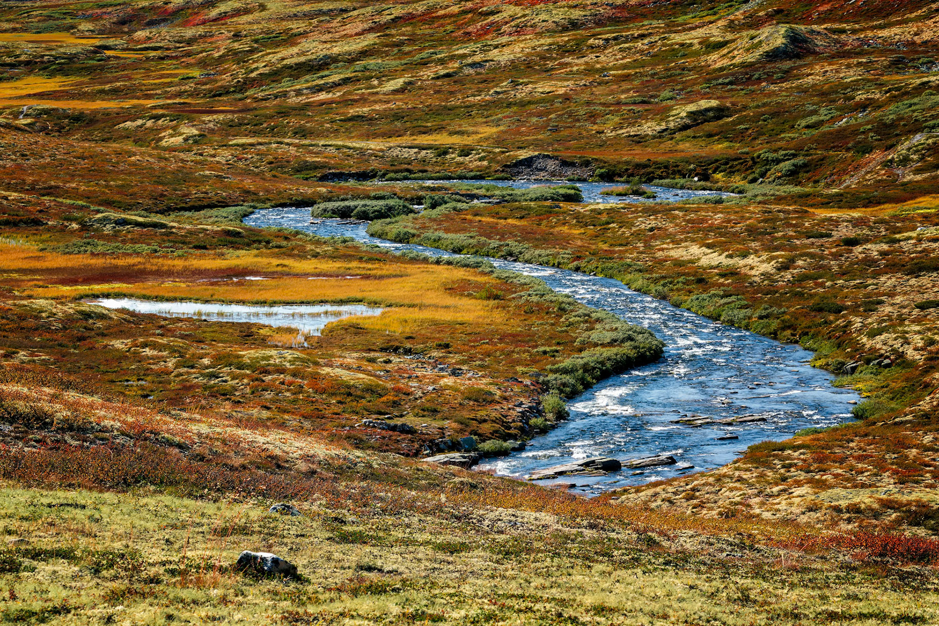 Rondane NP