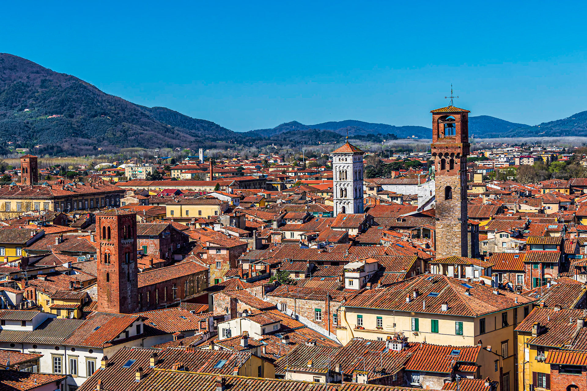 Lucca vom Torre Guinigi
