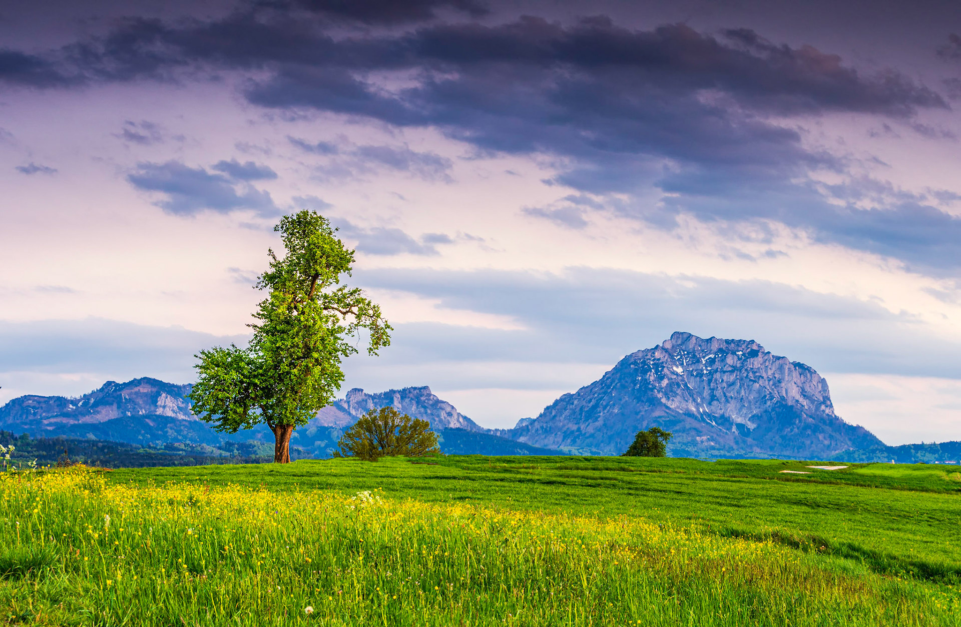 Blick zum Traunstein