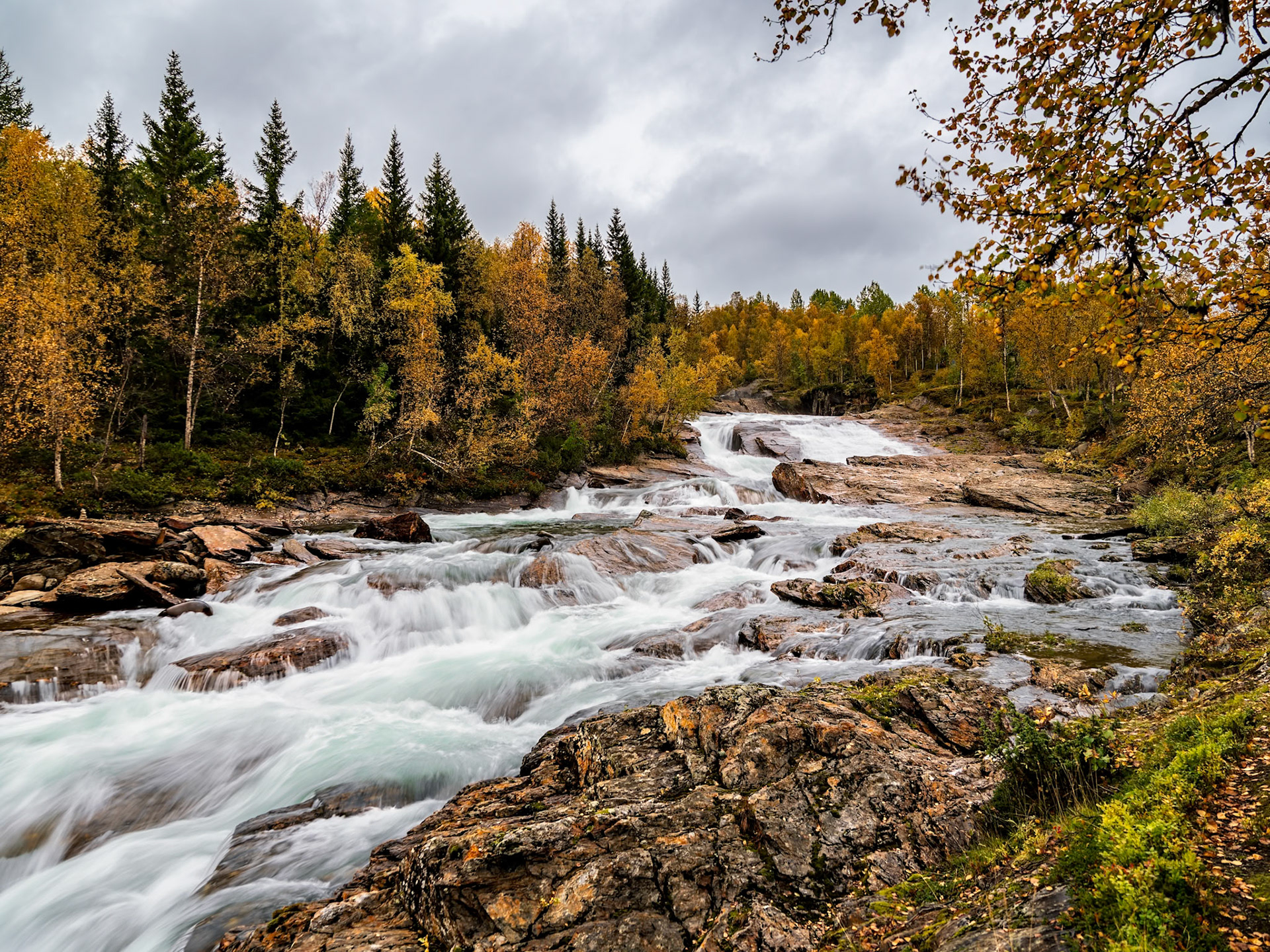 Syterbäcken Syihterenjonke